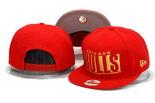 NBA Chicago Bulls NE Snapback Hat #331